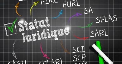 Comment choisir la structure juridique adaptée à son entreprise ?
